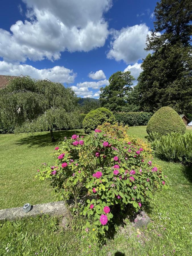 A L'Ombre Des Tilleuls Husseren-Wesserling Exterior foto